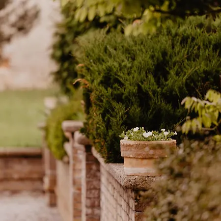 ペンジオン セント マーティン 3* Spišské Podhradie