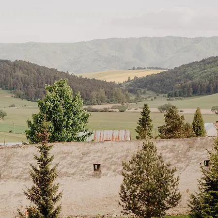 ゲストハウス ペンジオン セント マーティン