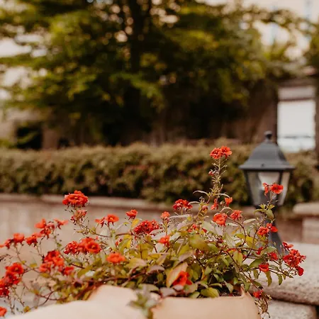 ペンジオン セント マーティン 3*