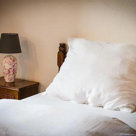 ゲストハウス ペンジオン セント マーティン Spišské Podhradie